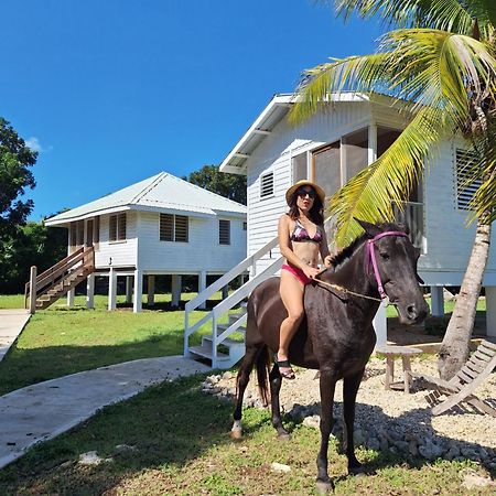 Horse Cottage Sarteneja Bagian luar foto