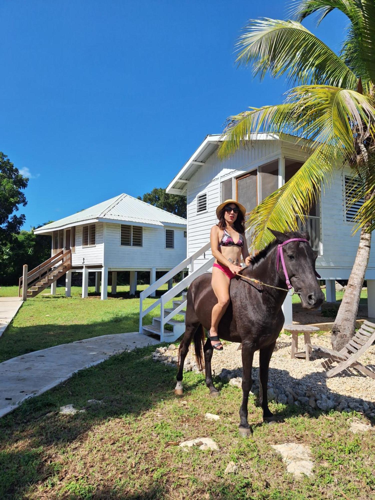 Horse Cottage Sarteneja Bagian luar foto