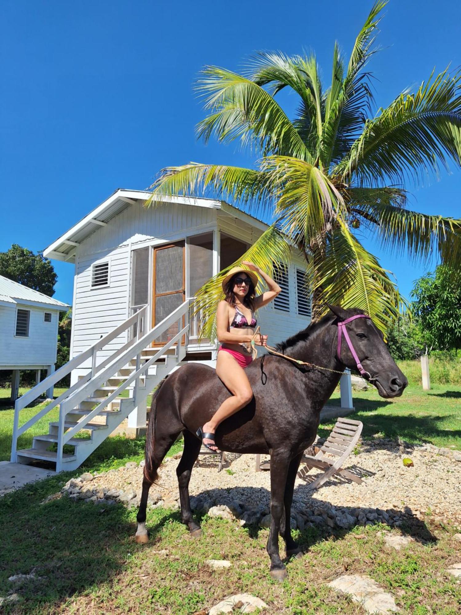 Horse Cottage Sarteneja Bagian luar foto