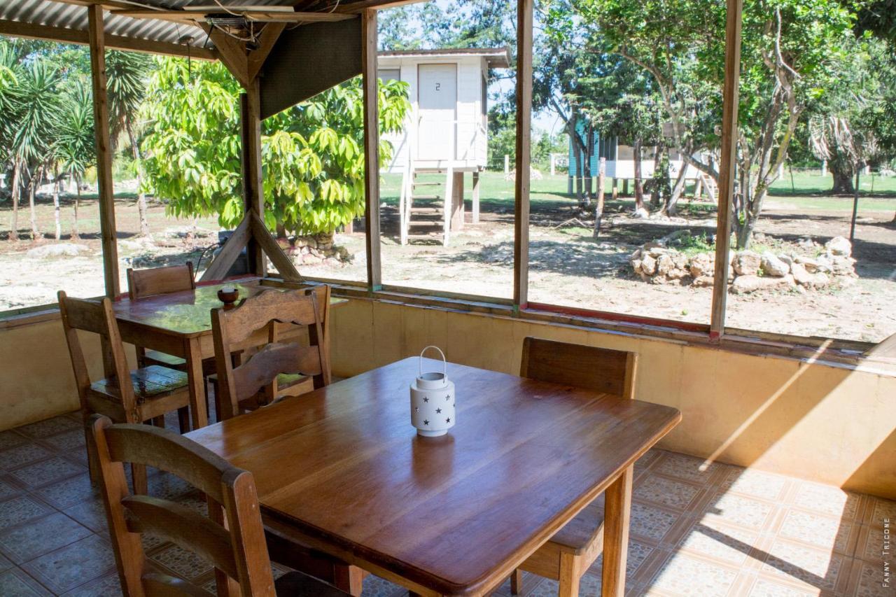 Horse Cottage Sarteneja Bagian luar foto