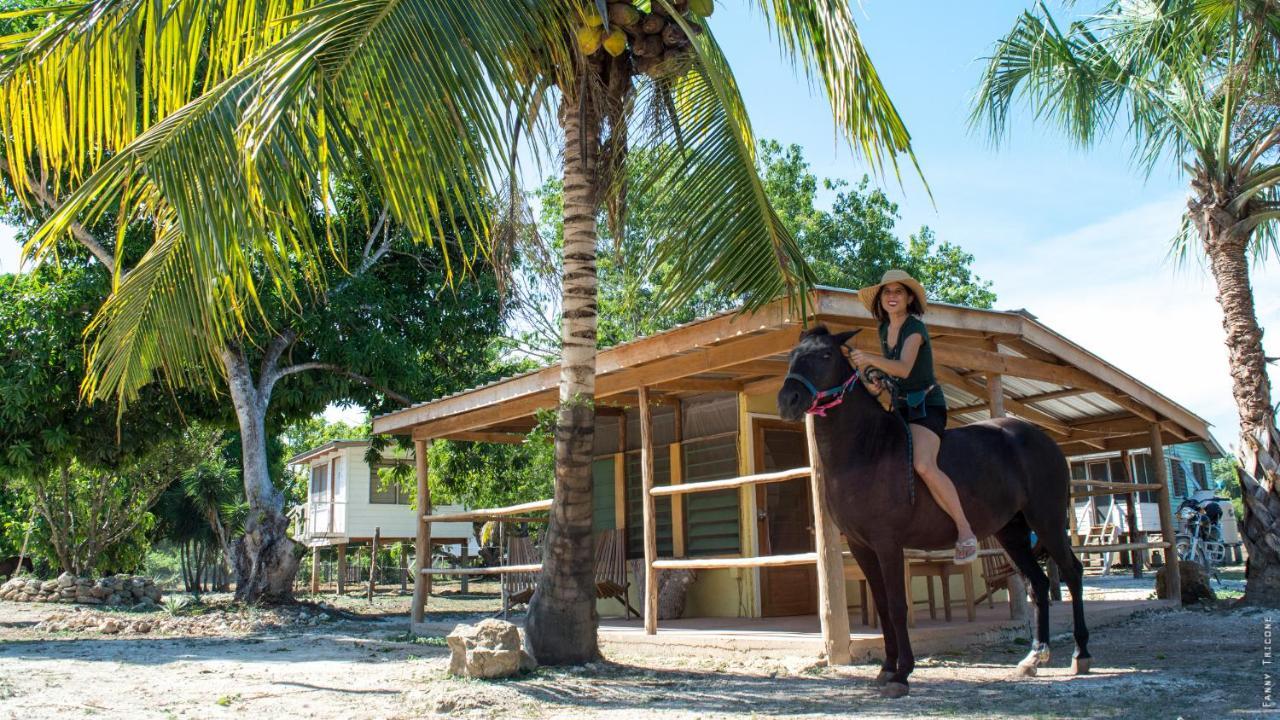 Horse Cottage Sarteneja Bagian luar foto